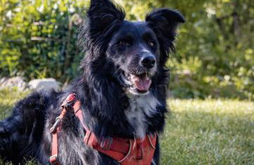 Ferienhaus ScheunenRefugio - Foto 40