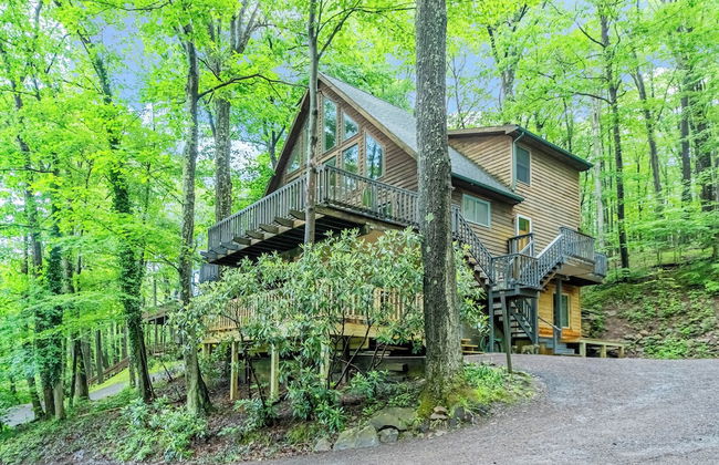 Bearadise Found by Taylor Made Deep Creek - Photo 57