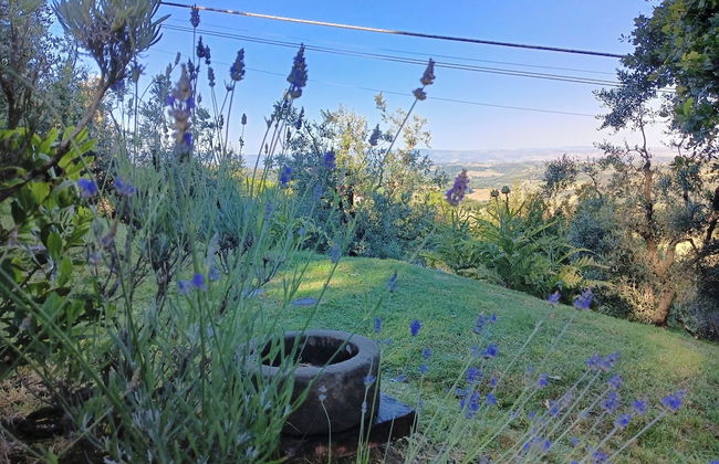 Podere Casato Hills View, Pool, Wifi Tuscany - Foto 18