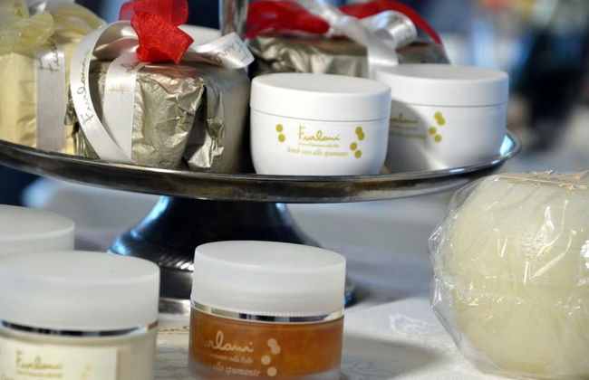 Agritur Ponte Alto - Foto 26