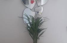 La Necussella - Foto 31