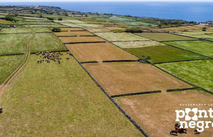 Recanto das 5 by PontaNegraAzores - Photo 24