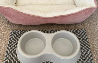 Idaho Treasure Hunt - Foto 31