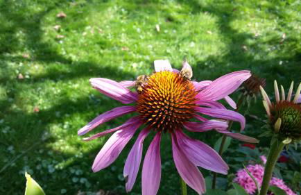 Haus Fernblick - Foto 34