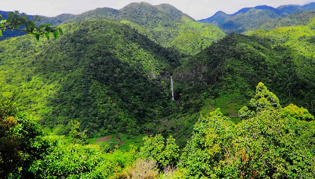 Private Day Trip to Salvador Benedicto