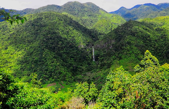 Private Day Trip to Salvador Benedicto - Photo 5
