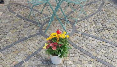 la Brigitte - Foto 4