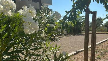 Appartement proche mer - Foto 4