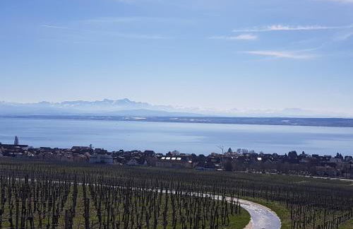 Am Badischen Weinberg - Foto 12