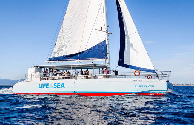 Paseo en catamarán por la bahía de Palma - Foto 8