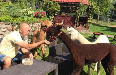 Agroalpaka Mazury - Foto 35