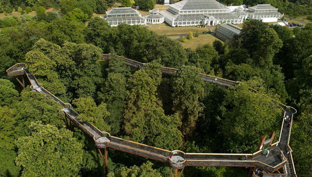 Entrada al Palacio de Kew y Real Jardín Botánico - Foto 3, La pasarela sobre los árboles