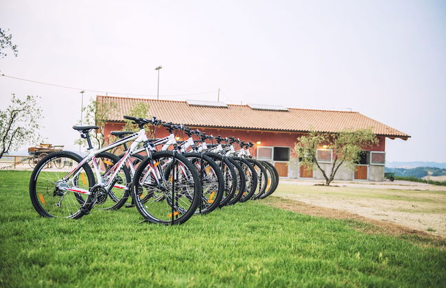 Agriturismo Podere Diacceroni - Foto 30