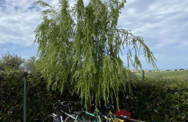 Villa Nino - Foto 40