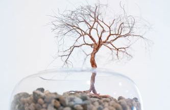 casa Diana - Foto 33