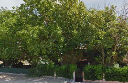 Casa Santiuste - Foto 21