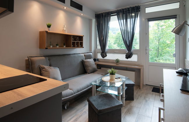 Apartamenty Sun & Snow Barbara Ustroń - Foto 5