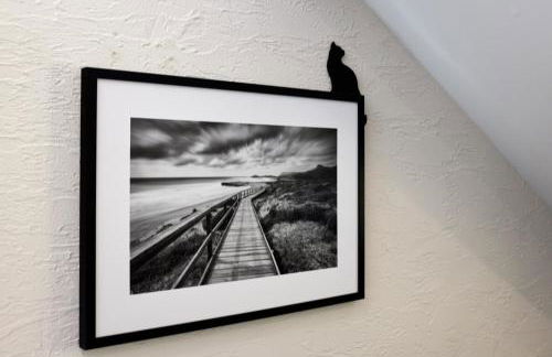 Schwarzer Kater Blankenheim - Foto 14