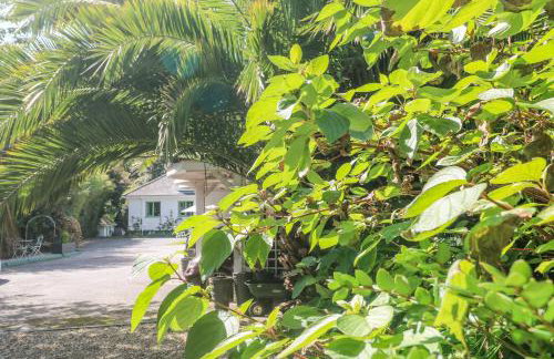 Cornerstone - Photo 34