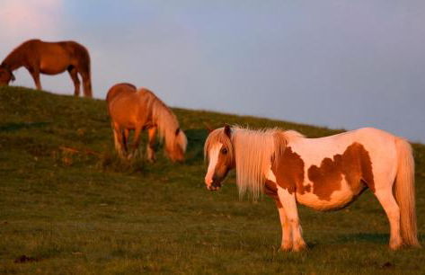 Casa Rural Zigako Etxezuria - Foto 49