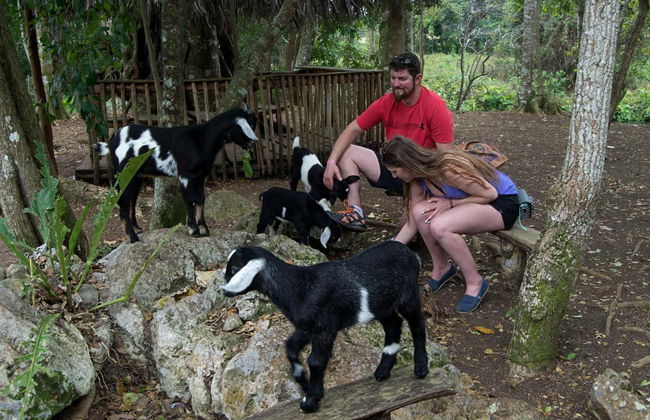 Jeep Safari nei dintorni di Yaguajay - Foto 4