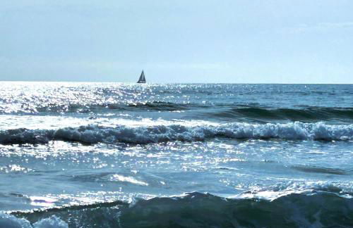 Tuscany Home-Casoli - Foto 42