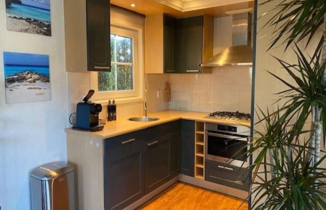 Forest Cabin With Pets - Photo 7