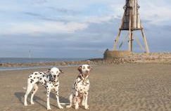 FewoLeopold - Apartment - Fewo 3 - Foto 13