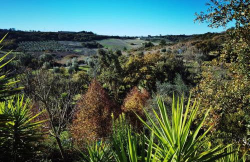 Quinta do Vale Encantado "the Valley" - Santarém - Portugal - Foto 76