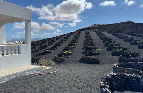 Vineyard House - Foto 36