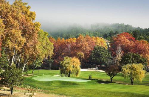 Acushla Golden House Douro - Foto 51