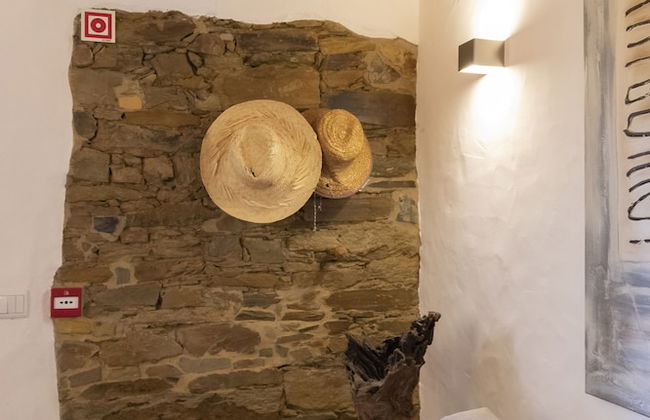 Casas de Campo do Castro da Cola - Foto 9