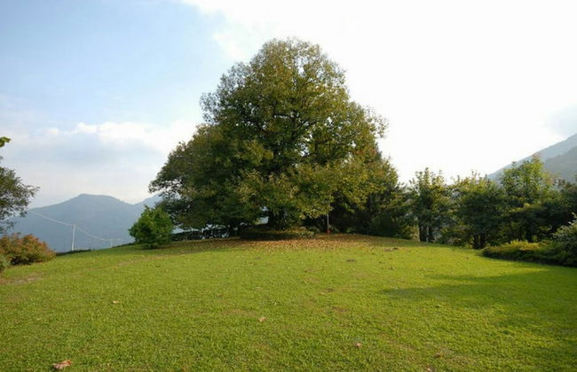 Villa Il Castagno - Foto 21