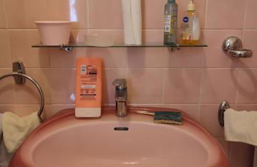 Maison à 3 chambres, rustique, fraîche, entretenue, 15' zoo beauval commerces pharmacie route médiane - Foto 39