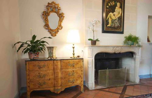 maison d'hôtes de l'orangerie 14 personnes - Foto 34