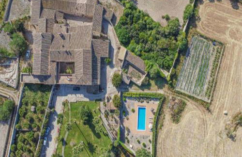 Son Costa, villa típica mallorquina con piscina - Photo 13