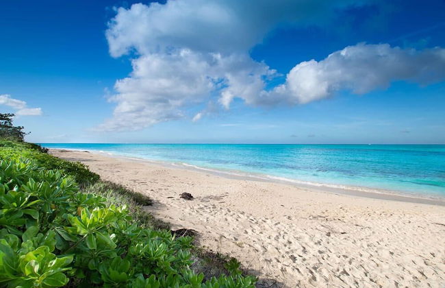 Garden Cottage at Orange Hill Beach - Foto 9