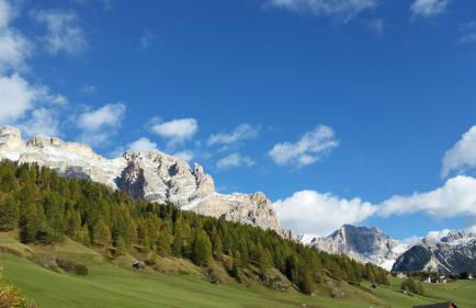 Family and Wellness Residence Ciasa Antersies - Photo 21