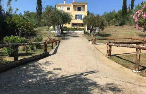 Villa Nino - Foto 58
