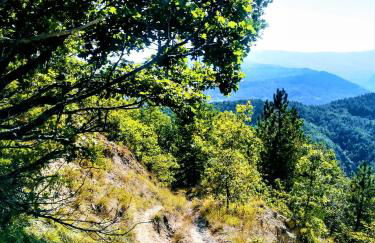 Agriturismo Malvista - Foto 70