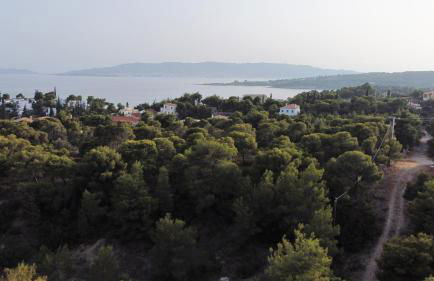 PLEIADES lUXURY APARTMENTS - Foto 42