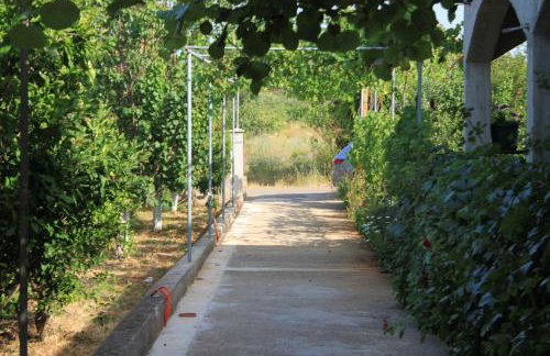 Apartments by the sea Ugljan - 8264 - Foto 10