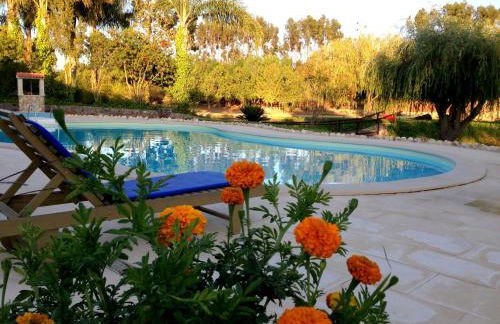 Herdade do Sardanito da Frente - Foto 73