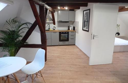 Wohlfühl-Oase in der Altstadt mit Wifi, XL Badewanne, voll ausgestatteter Küche, Hunde ohne Aufpreis, 17 min zur Messe, 3 min zum Schloss - Foto 22