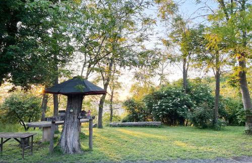 Appartamento immerso nella natura, silenzio e riservatezza a 550 m di quota - Foto 13