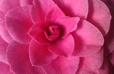 El Atico de Villalmar - Foto 48