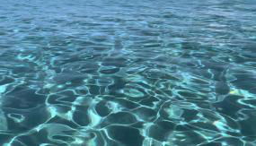 Villa Oasi dei Fenicotteri - Photo 3