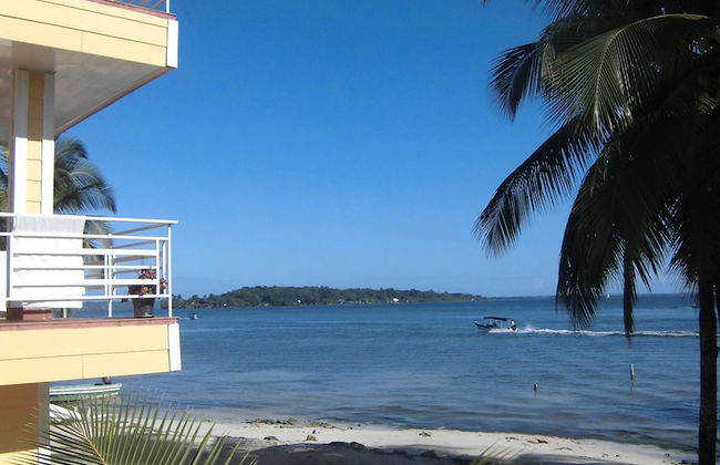 Kevin Condos - Foto 35