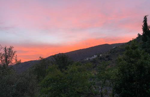 Finca Las Fuentezuelas - Foto 77