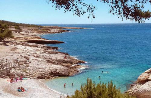 Sous le soleil des Alpilles - Foto 43